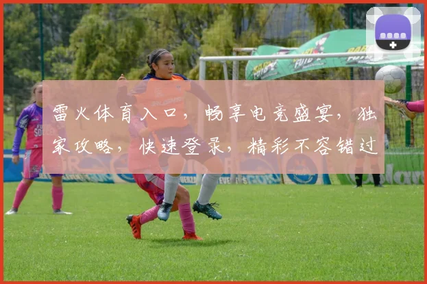 雷火体育入口，畅享电竞盛宴，独家攻略，快速登录，精彩不容错过，必看攻略
