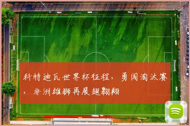 科特迪瓦世界杯征程，勇闯淘汰赛，非洲雄狮再展翅翱翔