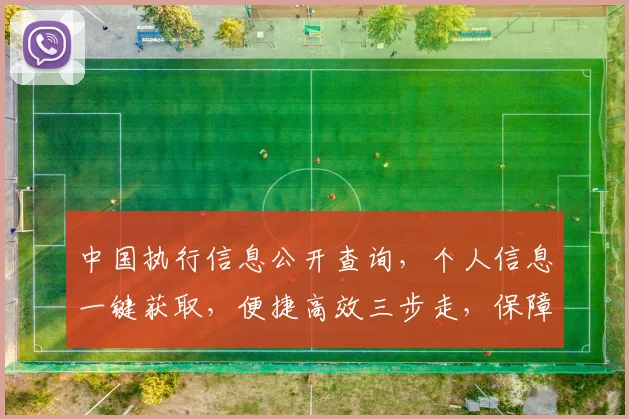 中国执行信息公开查询，个人信息一键获取，便捷高效三步走，保障隐私安全，查询无忧。
