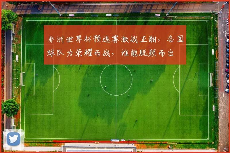 非洲世界杯预选赛激战正酣，各国球队为荣耀而战，谁能脱颖而出