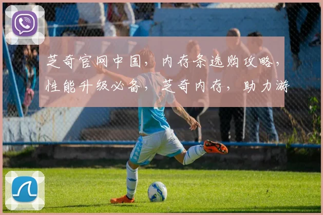 芝奇官网中国，内存条选购攻略，性能升级必备，芝奇内存，助力游戏办公